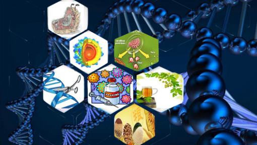改變生活的生物技術(shù) 細(xì)胞工程如何重塑我們的世界